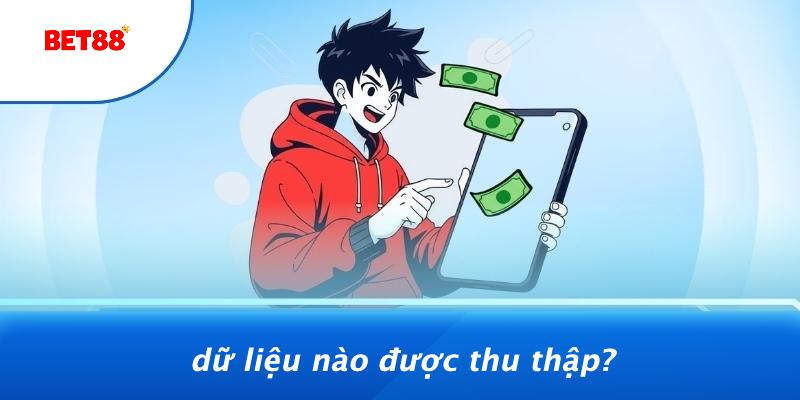 Dữ Liệu Nào Được Thu Thập?